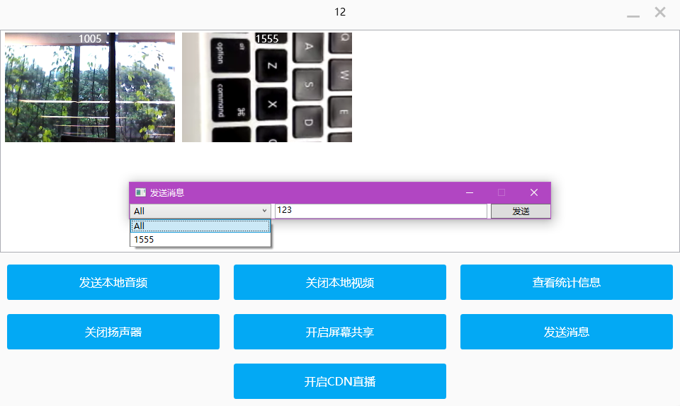 ../_images/winconfer3.png